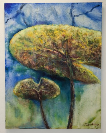 arte_juan_truco-2655